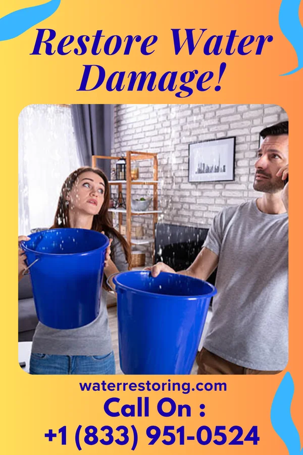 water restoration Direct Disaster Recovery Experts Geneva