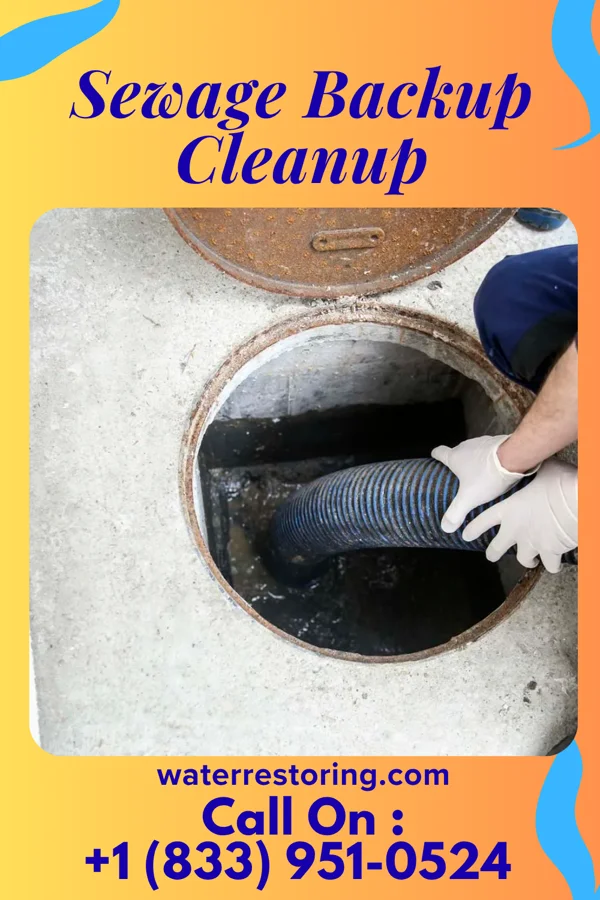 Sewage Backup Cleanup in Geneva, OH